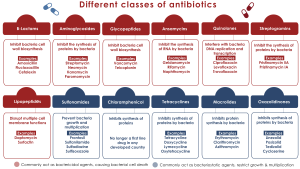 New Class of Antibiotics Revolutionizing Drug-Resistant Treatment
