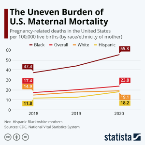Maternal Mortality in the U.S.: A Growing Concern