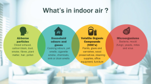 Indoor Air Quality: Health Risks of Your Building