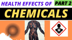 Health Impact of Industrial Chemicals: Protecting You and Nature