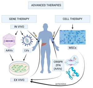 Gene Therapy for Hemophilia B: A New Hope for Patients